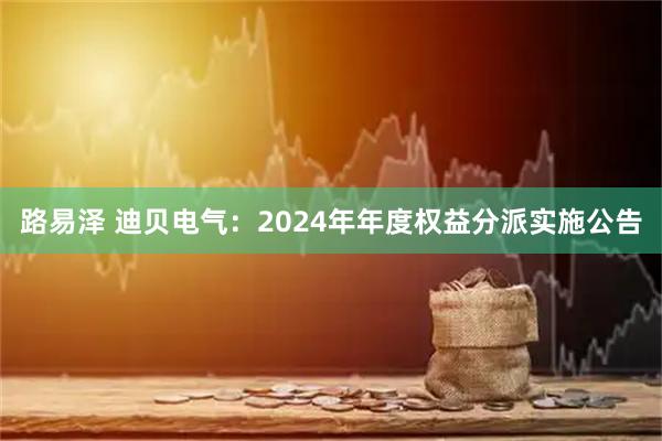 路易泽 迪贝电气：2024年年度权益分派实施公告