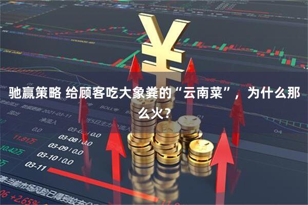 驰赢策略 给顾客吃大象粪的“云南菜”，为什么那么火？