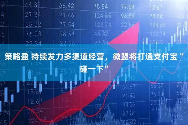 策略盈 持续发力多渠道经营，微盟将打通支付宝“碰一下”