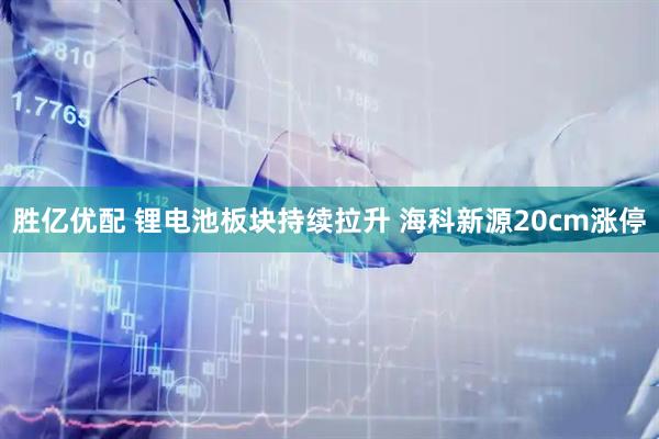 胜亿优配 锂电池板块持续拉升 海科新源20cm涨停